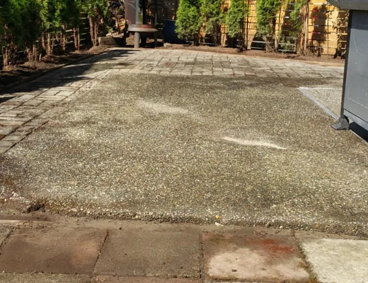 patio/backyard