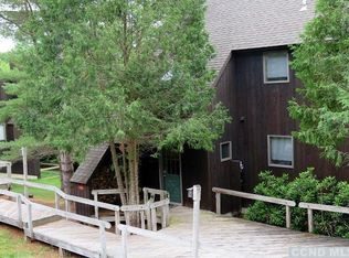 110 Brainard Ridge Rd #14C, Windham, NY 12496