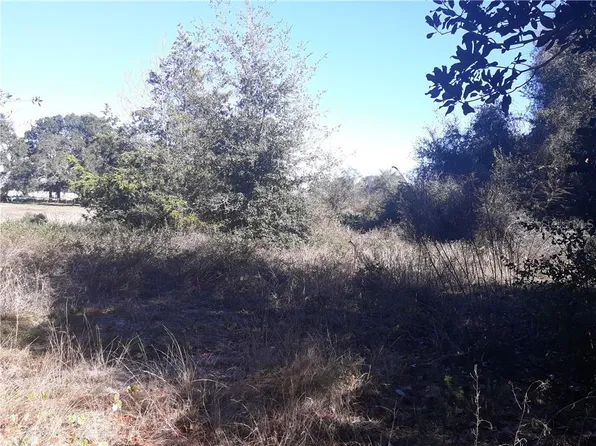 N Palm Cir, Eustis, FL 32726