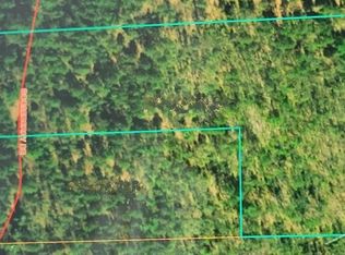 15653 Gooseberry Dr, Wolverine, MI 49799