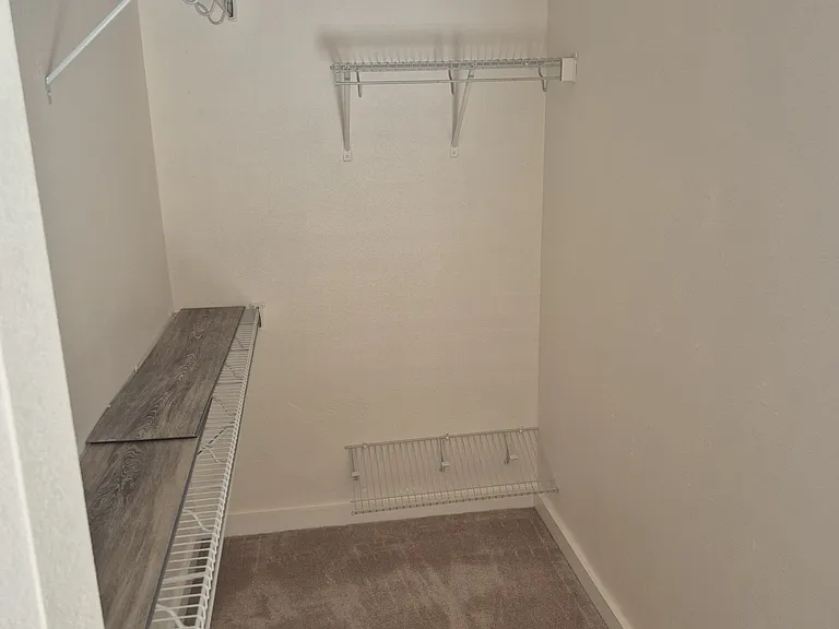 Primary Bedroom Closet