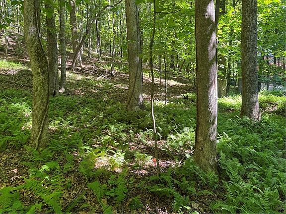 5th image of 0 Walhalla Ct Lot 387
