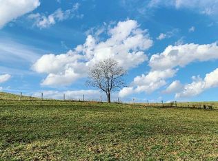 2035 Dutch Hollow Rd, Raphine, VA 24472