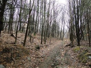 521 Fernwood Ave, Johnson City, NY 13790