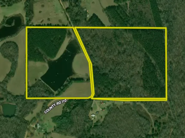 0 County Road 110, Houston, MS 38851