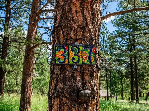 337 Old Corral Road, Bailey, CO 80421