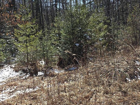 3rd image of 1439 River Road