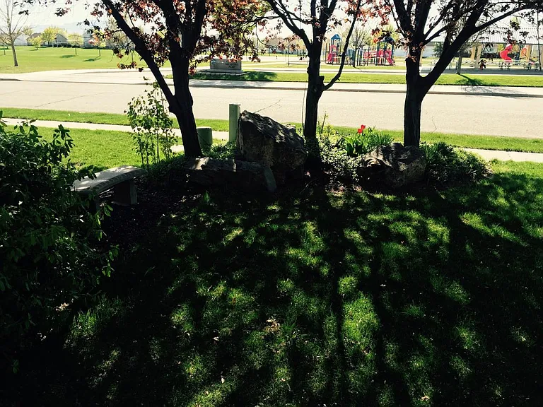 Wonderful location - Across from park