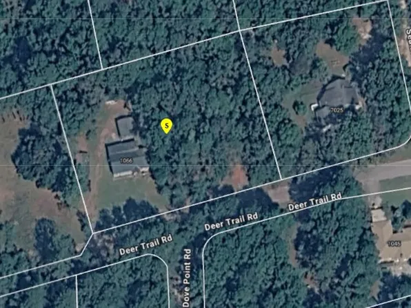 1066 Deer Trail Dr, Santee, SC 29142