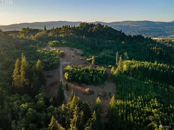 0 NW 389th Street, La Center, WA 98629