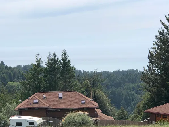 606 Wolverine Way, Whitethorn, CA 95589