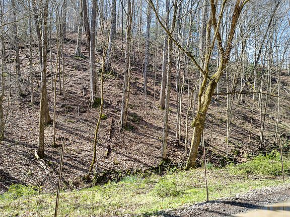 4th image of C C Hollow Way