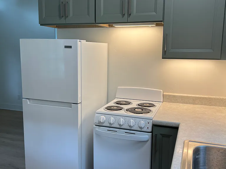 Fridge with stove light