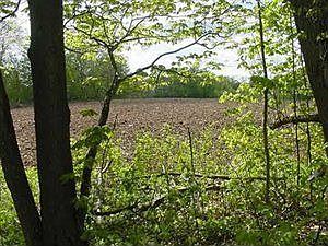 1st image of 1133 County Road 36