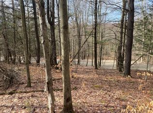 0 Putt Hill Rd, Chemung, NY 14825