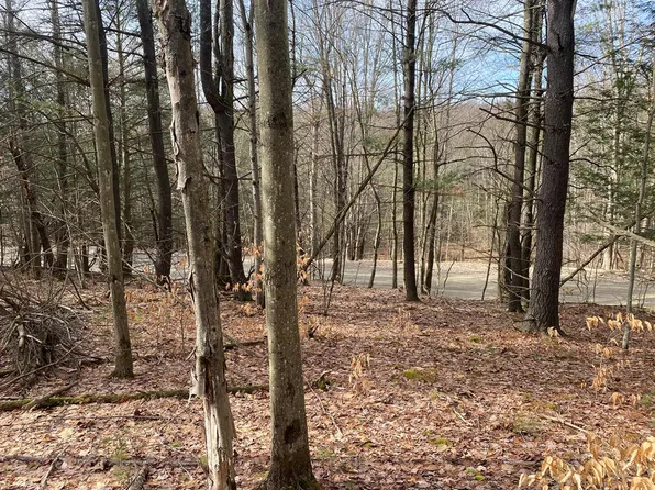 0 Putt Hill Rd, Chemung, NY 14825