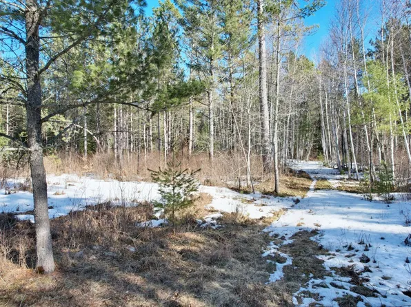 Spirit Wood Trl, Land O Lakes, WI 54540