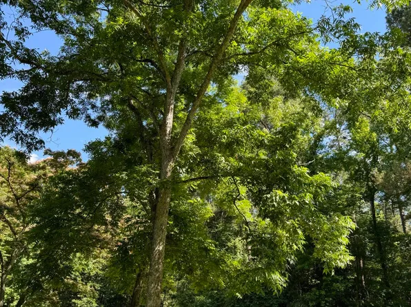 5570 Ritter Rd, Walterboro, SC 29488