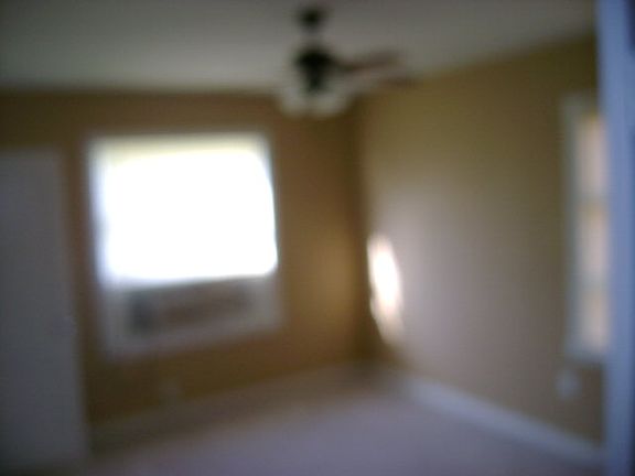 4th image of 113 Pompano Ave