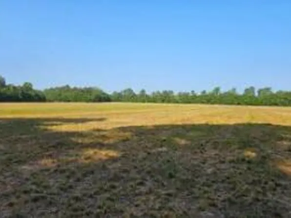 TRACT 8 Highway 78, Williston, SC 29853