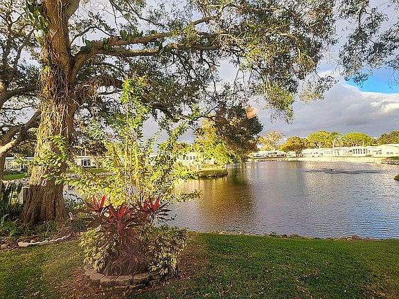 Lake Views