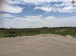 000704 Southern Sky St, Carlsbad, NM 88220