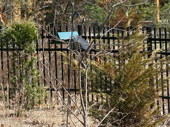 Fenced & Gated Property