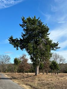 4427 County Road 45080, Arthur City, TX, 75411