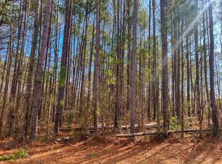 0 SE Adams Reeves Rd, Dearing, GA 30808