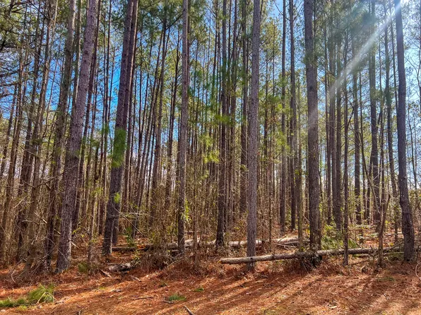 0 SE ADAMS REEVES Road, Dearing, GA 30808