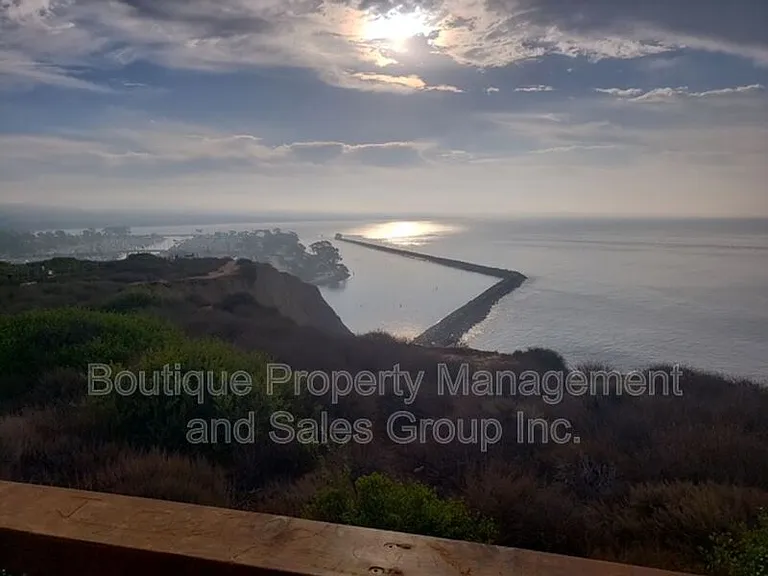 30902 Club House Dr #2G — Photo 56