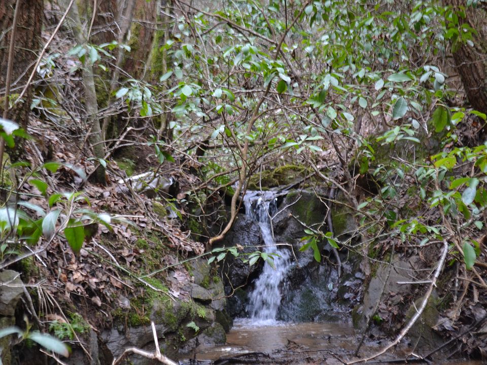 small fall