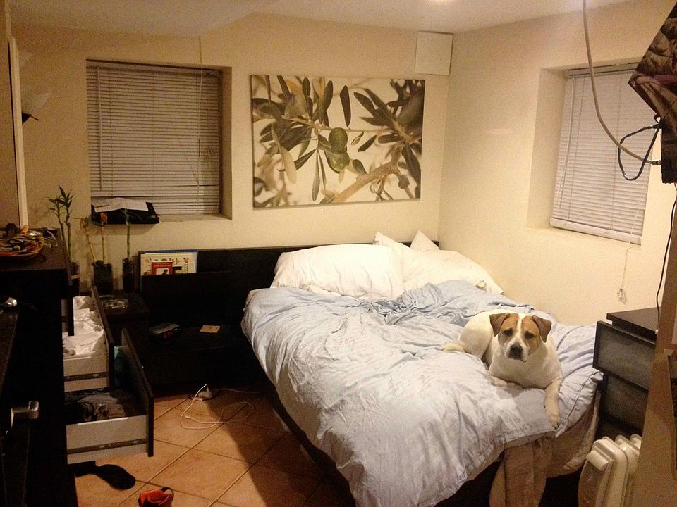 Rear bedroom back half