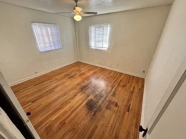 2 bed, 800 sqft, $1,250 — Photo 3