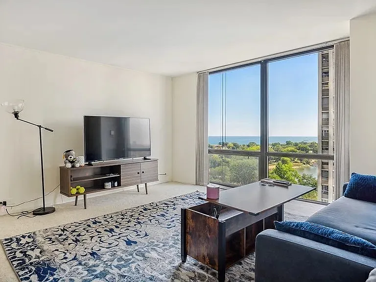 2650 N Lakeview Ave #1604 — Photo 4