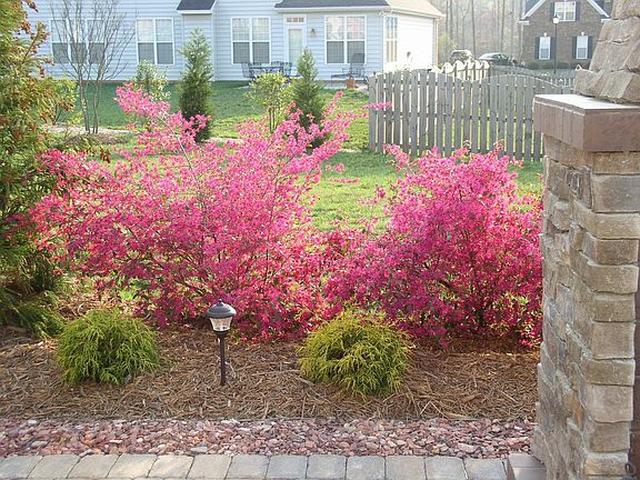 Patio Area