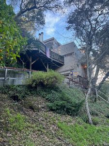 19 Holly Avenue, Larkspur, CA, 94939