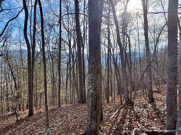 20260205 154735moses