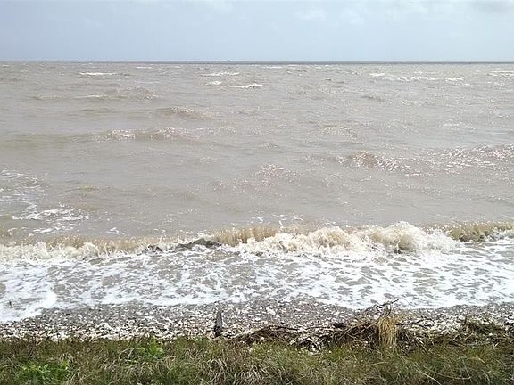 2nd image of 3049 Palacios Bay