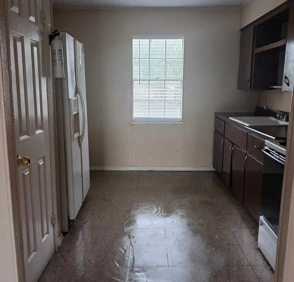 913 Athol Street — Photo 1