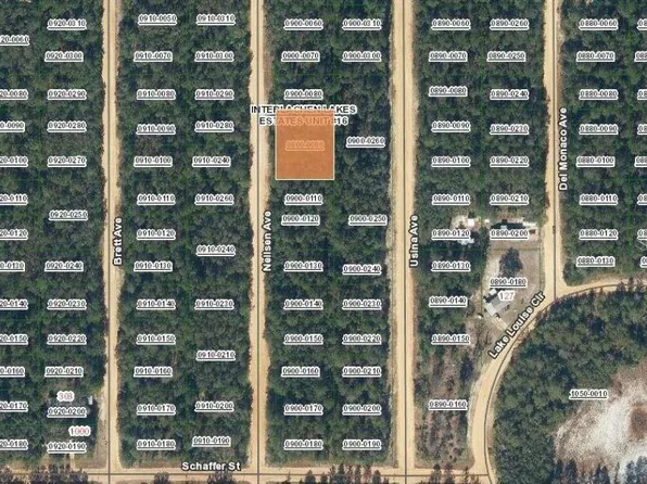 Neilsen Avenue Lot #9-10, Interlachen, FL 32148