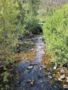 Nhn Jerry Creek Rd, Wise River, MT, 59762