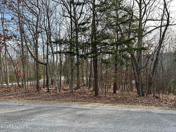 4th image of 21 Bacham Ln