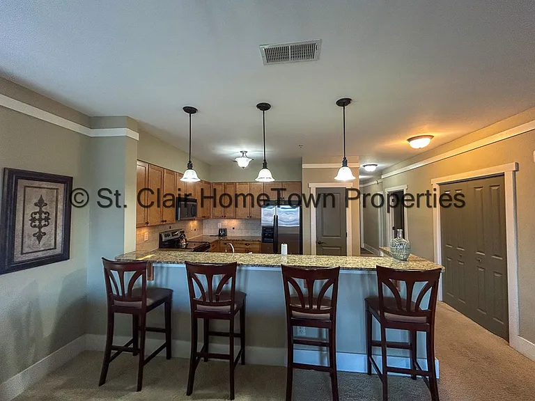 475 River Forest Ln #4310 — Photo 15
