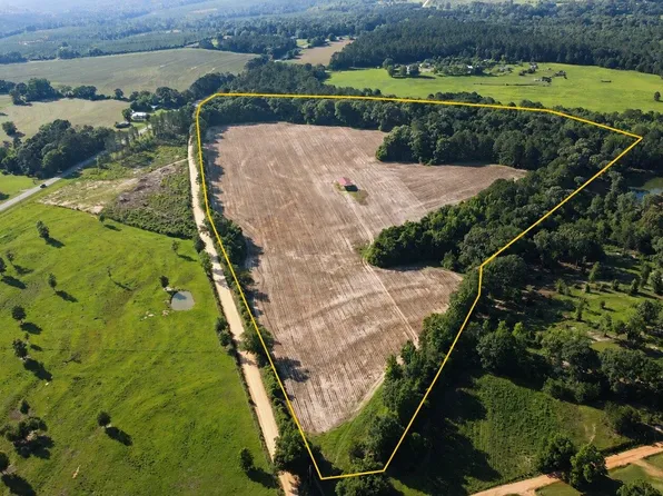 0 Settlement Rd, Dozier, AL 36028