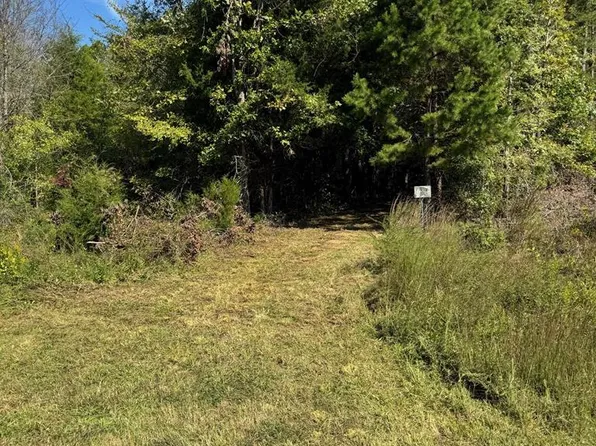 9043 Bill Tuck Hwy, Virgilina, VA 24598