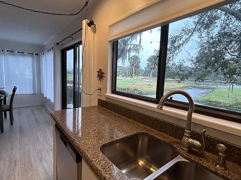 Kitchen double sink with golf course view