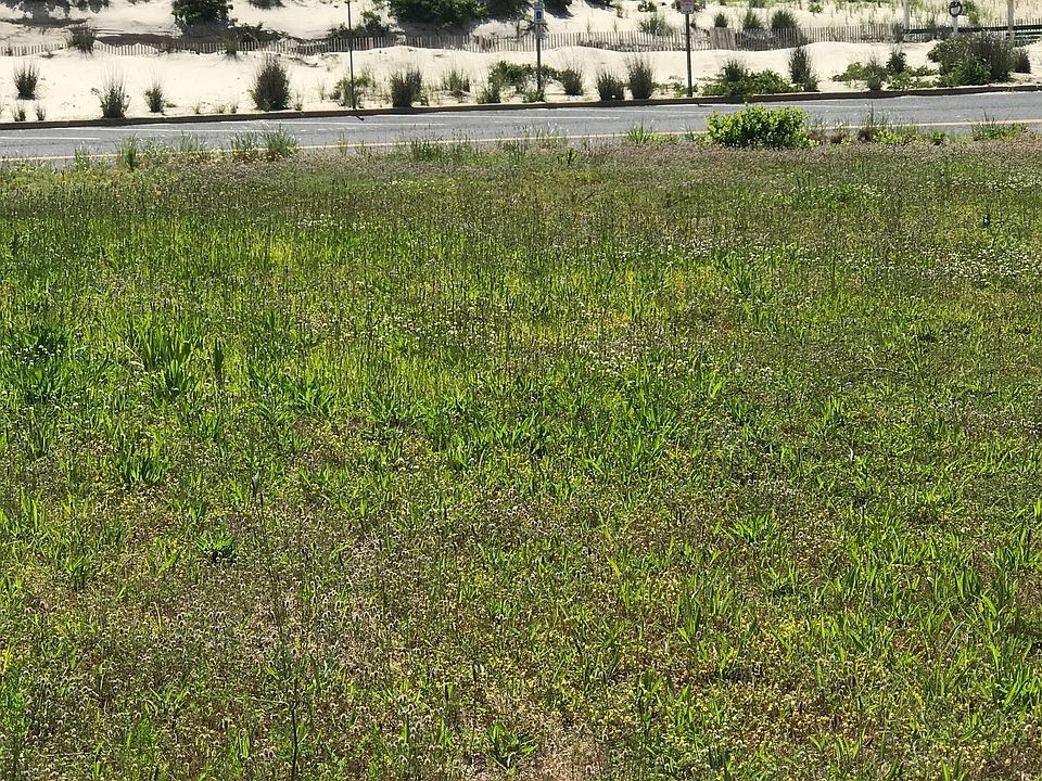 1st image of 1003 N Ocean Ave