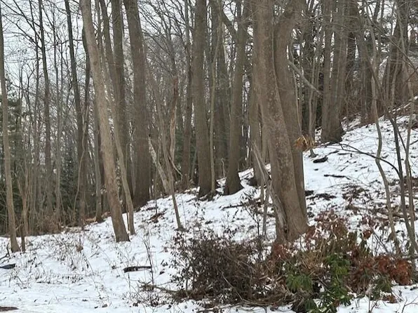 0 Fort Hill Avenue, Old Orchard Beach, ME 04064