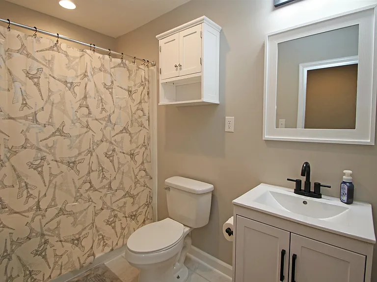 224 Spring Run Ln — Photo 40